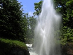 la gerbe au bord du lac