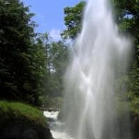 la gerbe au bord du lac