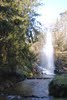 la gerbe lac st ferreol 2