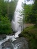 la gerbe lac st ferreol